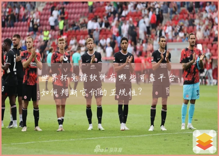 世界杯竞猜软件有哪些可靠平台，如何判断它们的正规性？