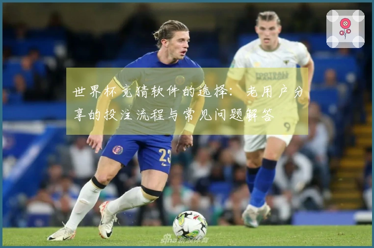 世界杯竞猜软件的选择：老用户分享的投注流程与常见问题解答