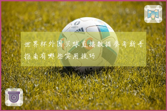 世界杯外围买球直播数据参考新手指南有哪些实用技巧