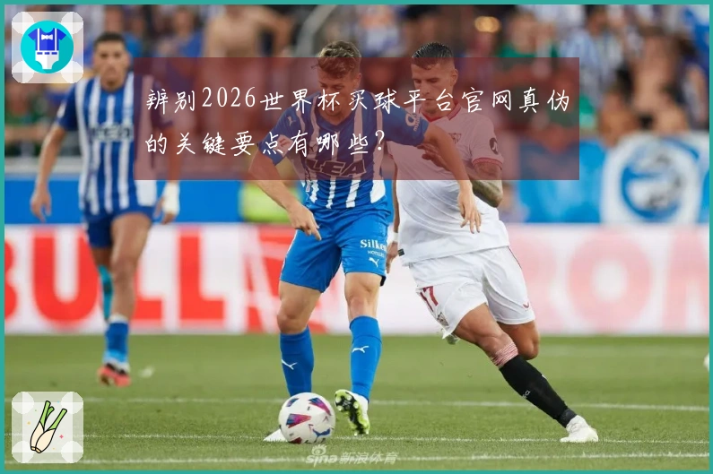 辨别2026世界杯买球平台官网真伪的关键要点有哪些？